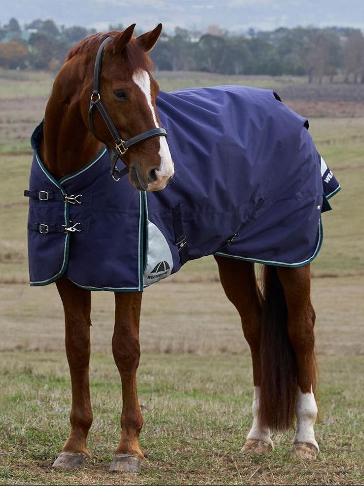 Weatherbeeta ComfiTec Plus Dynamic Turnout Standard Neck