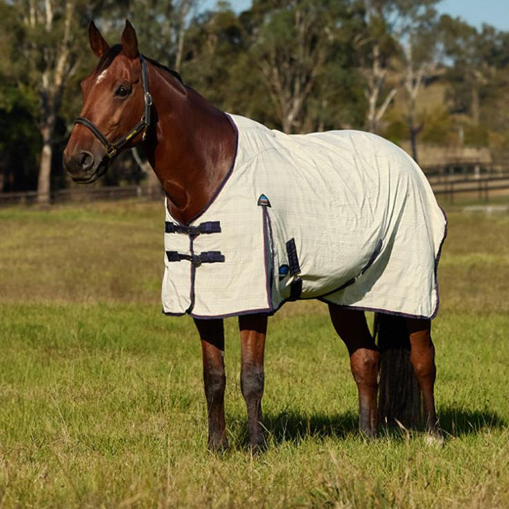 Weatherbeeta Cotton Summer Sheet