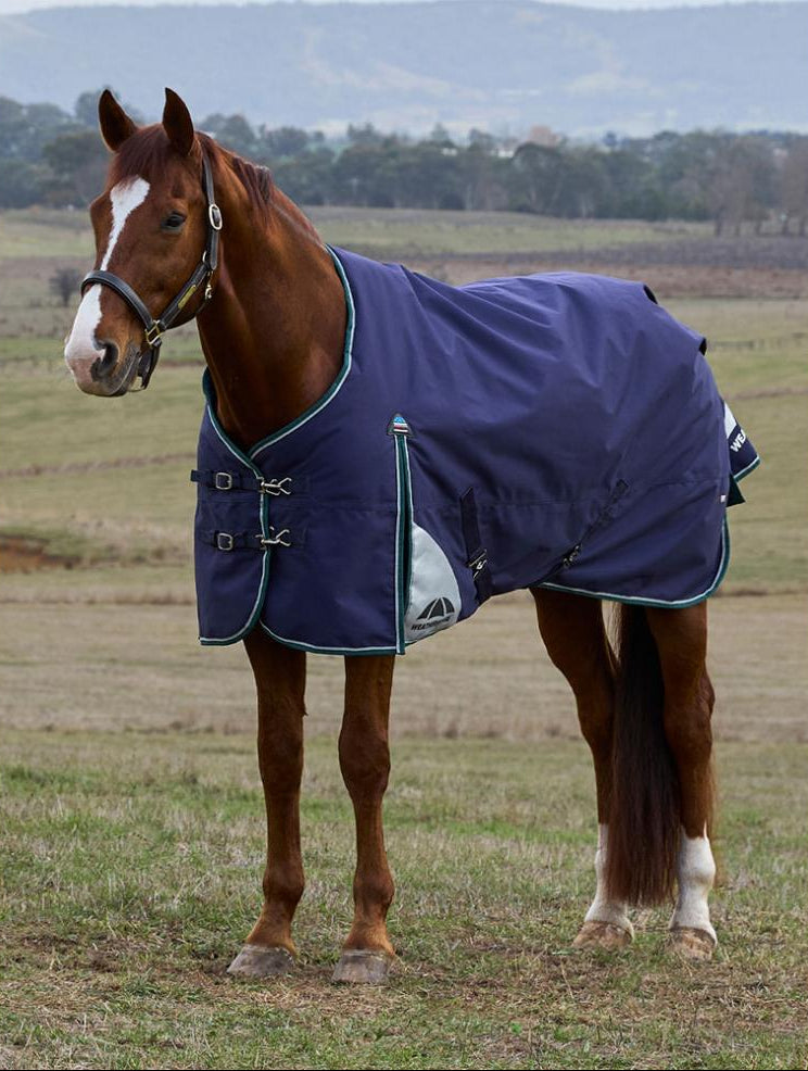 Weatherbeeta ComfiTec Plus Dynamic Turnout Standard Neck