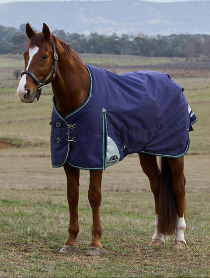 Weatherbeeta ComfiTec Plus Dynamic Turnout Standard Neck