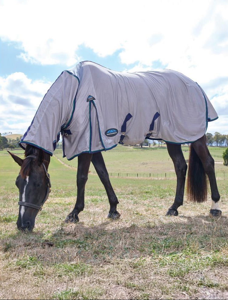 Weatherbeeta ComFiTec Zephyr Fly Sheet Combo