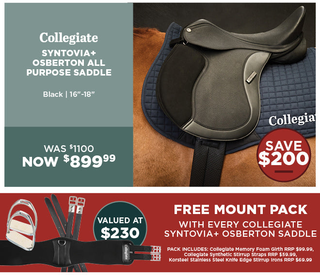 Collegiate Syntovia+ Free Mount Pack