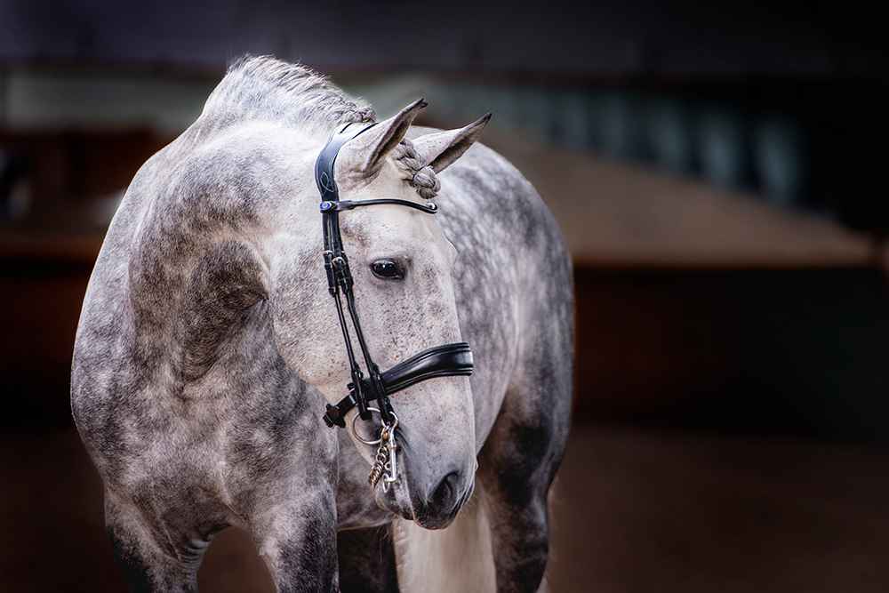 PS of Sweden Double Bridle Passage Non Lacquered