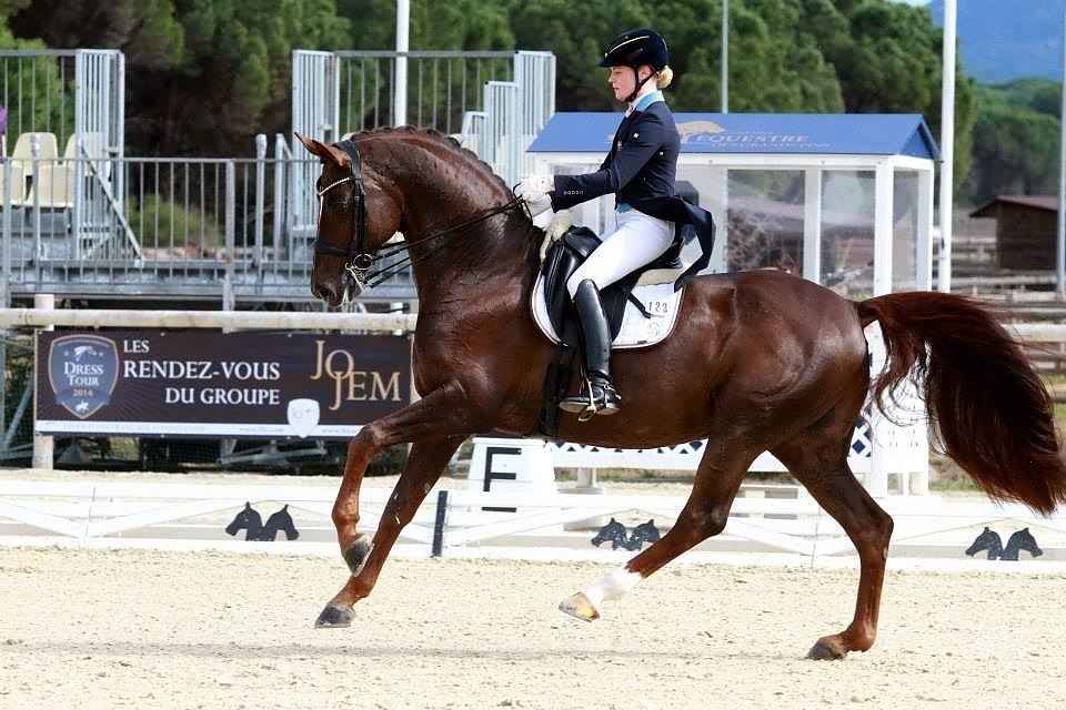 PS of Sweden Double Bridle Passage Non Lacquered