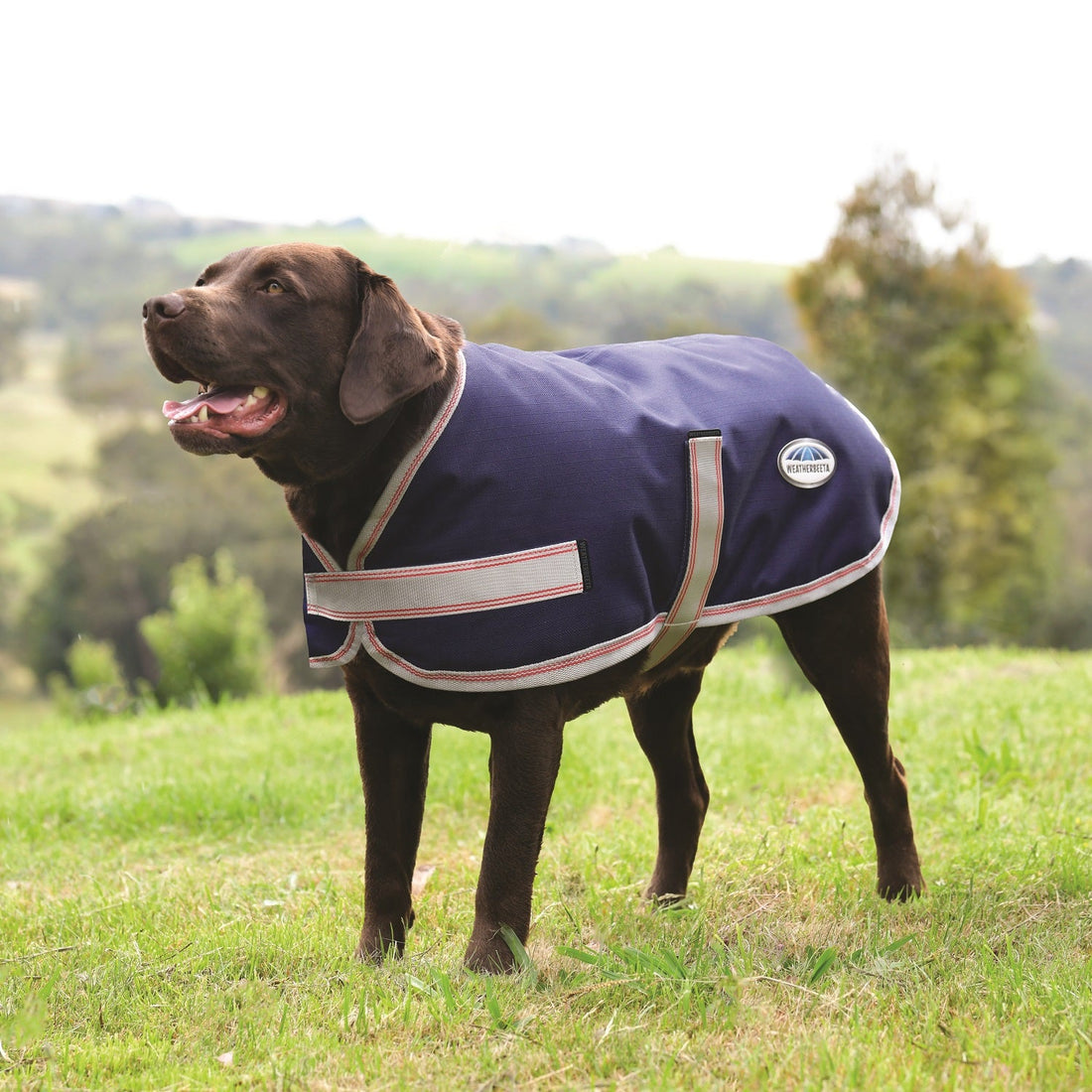 Weatherbeeta Essential Plus Parka Dog Coat