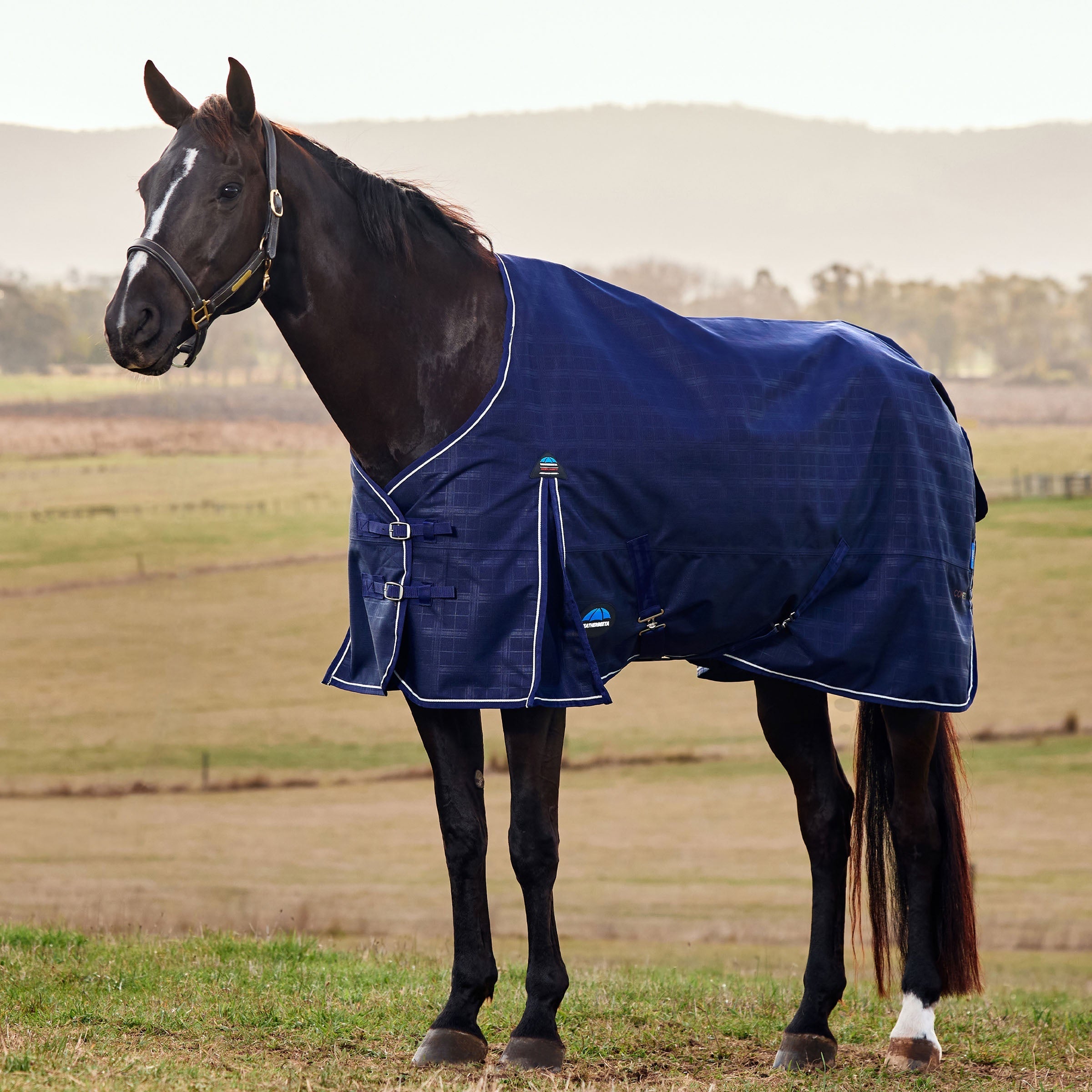 Weatherbeeta Comfitec Prelim Turnout Standard Neck Rug