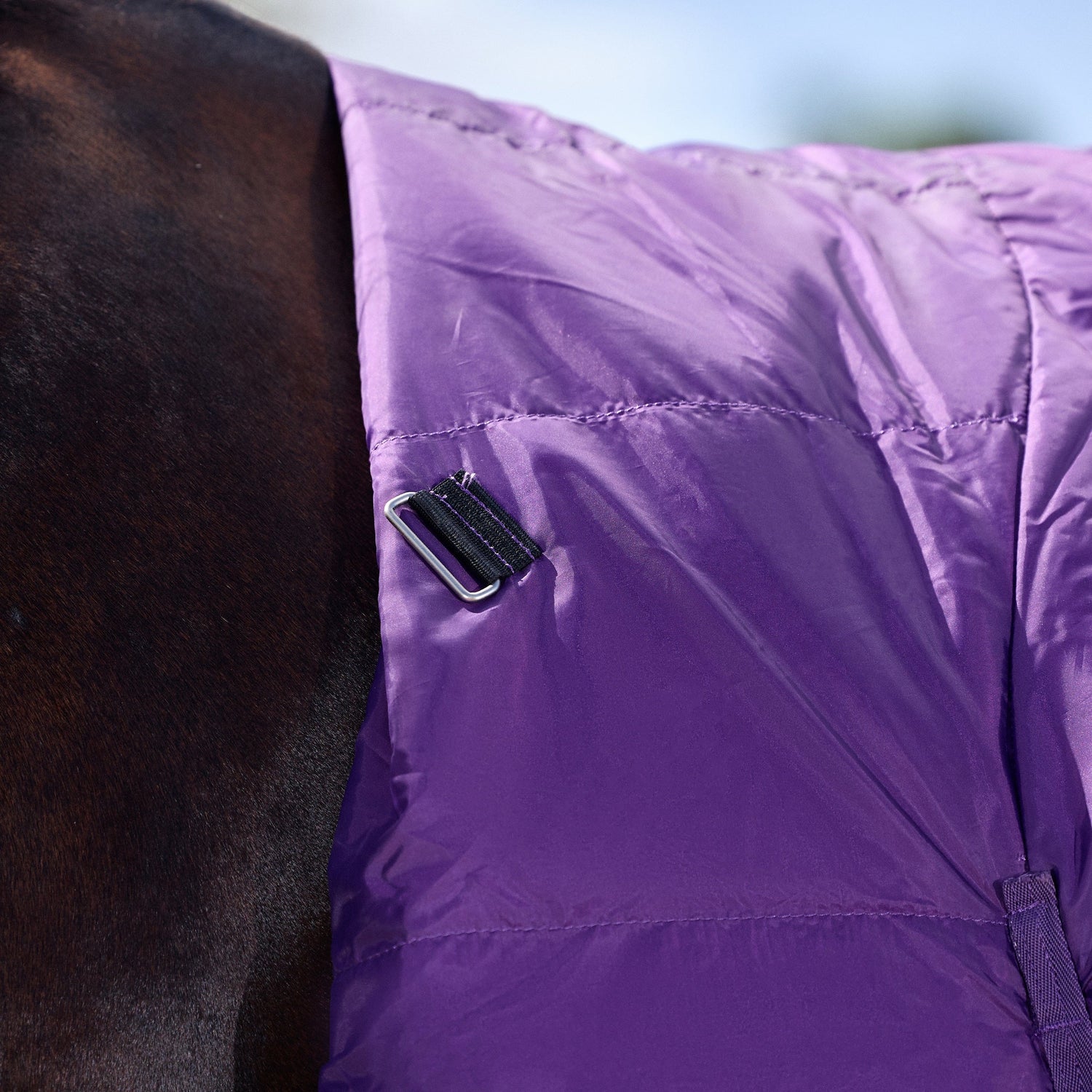 Weatherbeeta Comfitec Essential Turnout Combo