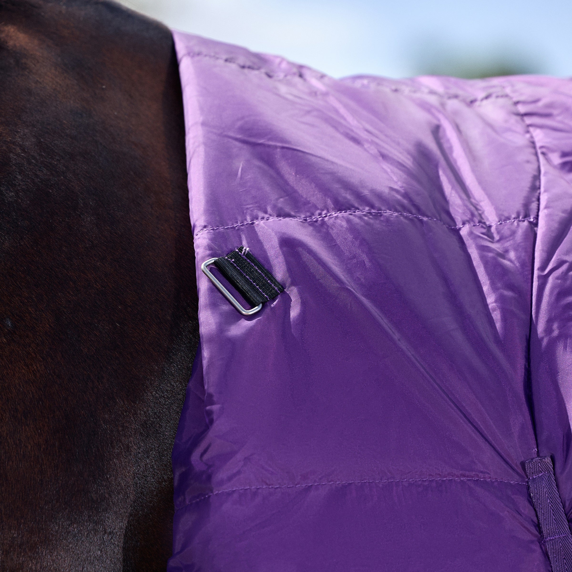 Weatherbeeta Comfitec Essential Turnout Combo