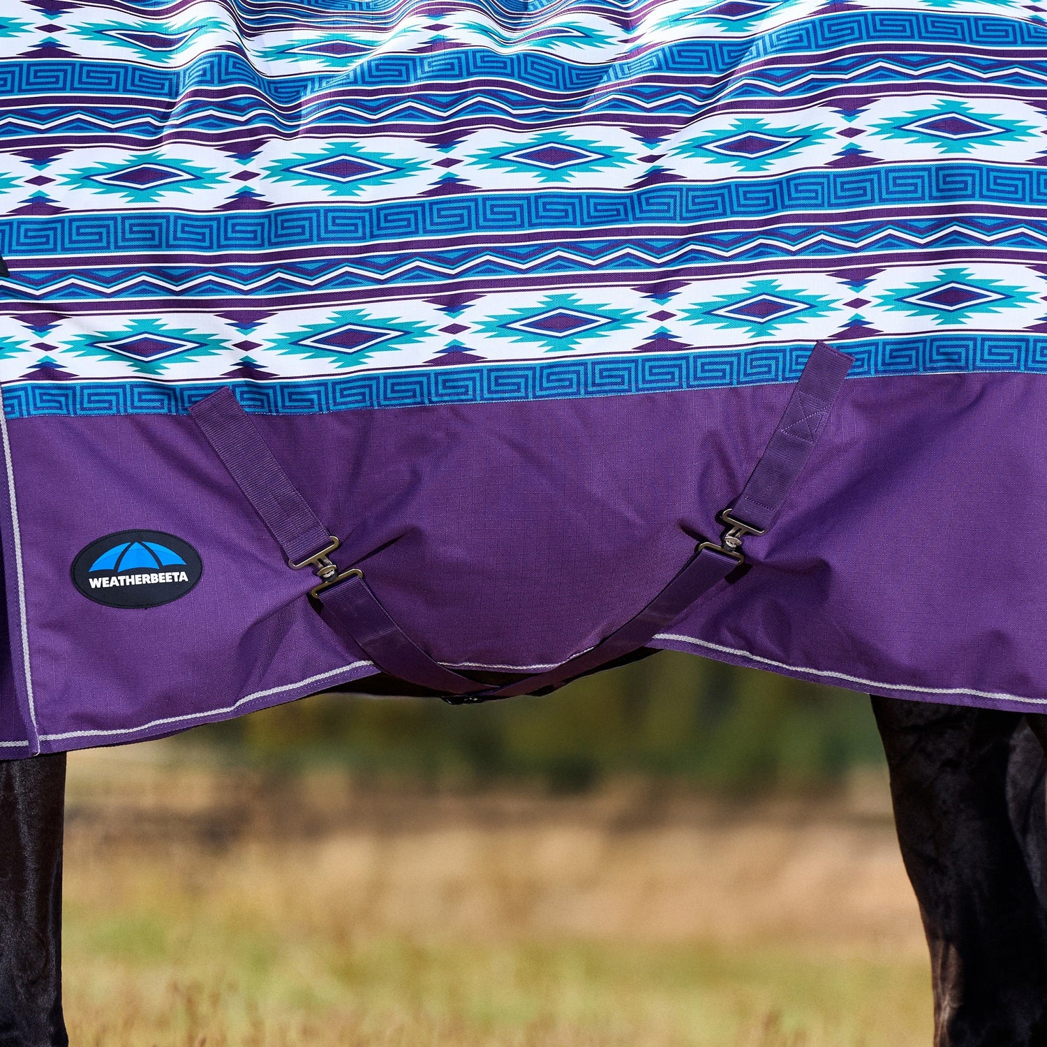 Weatherbeeta Comfitec Essential Turnout Combo