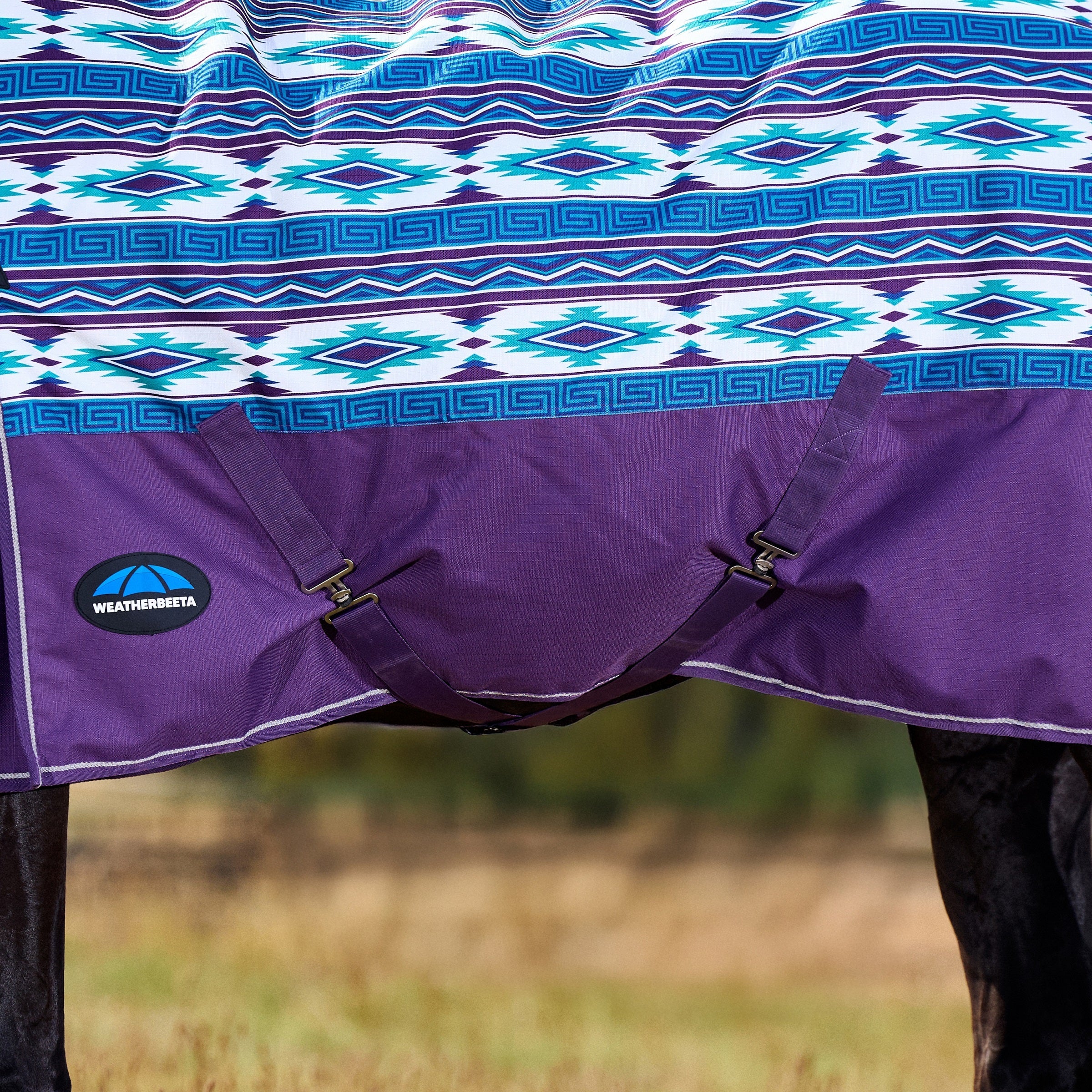 Weatherbeeta Comfitec Essential Turnout Combo