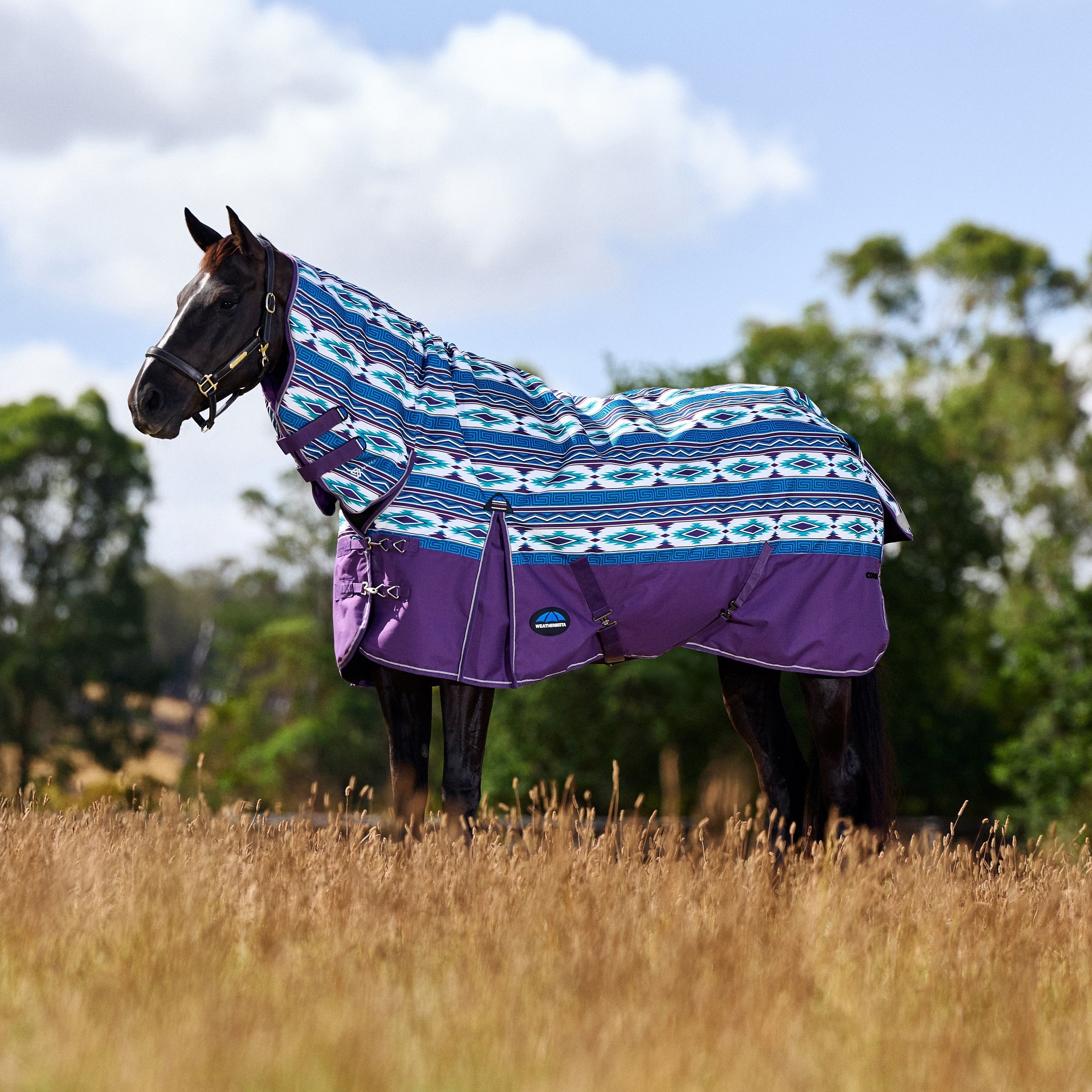 Weatherbeeta Comfitec Essential Turnout Combo