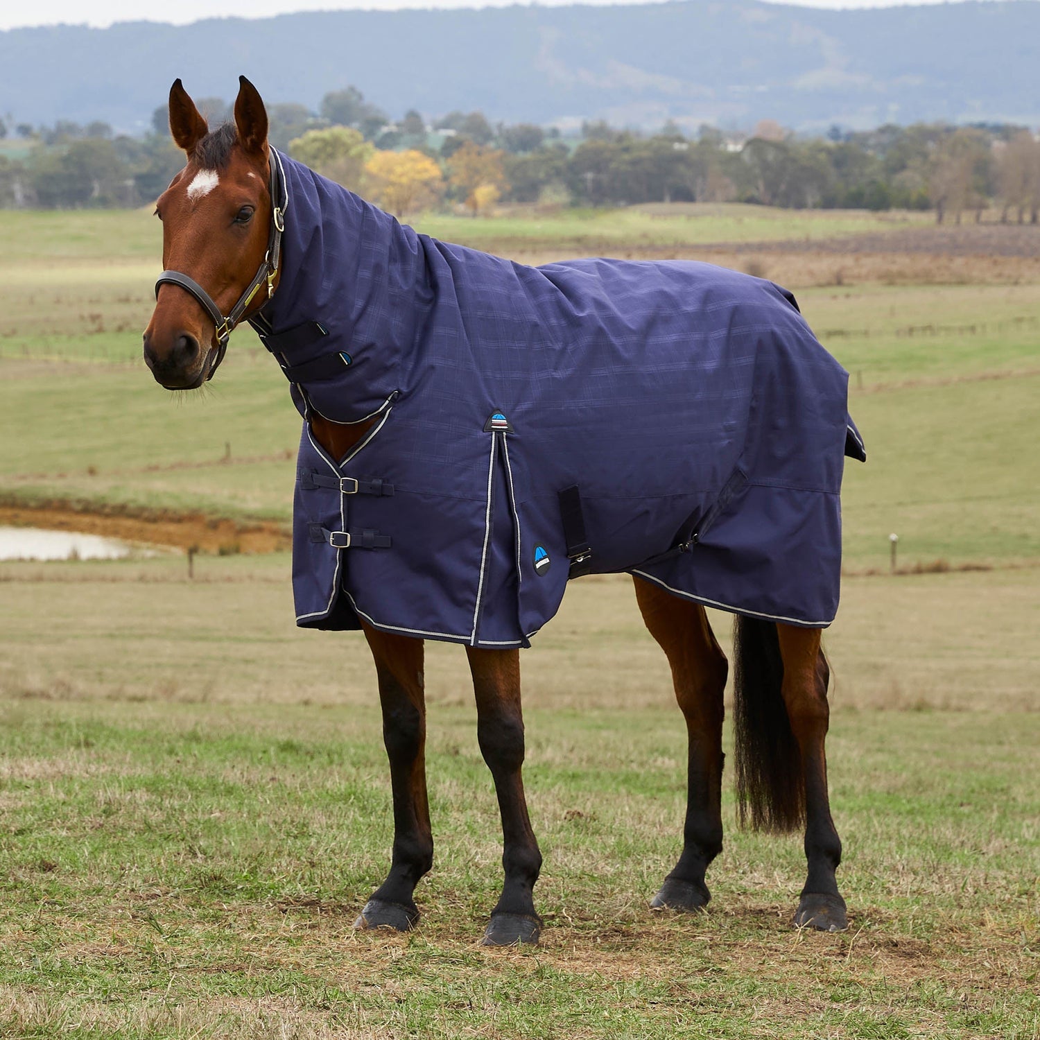 Weatherbeeta Comfitec Prelim Turnout Combo
