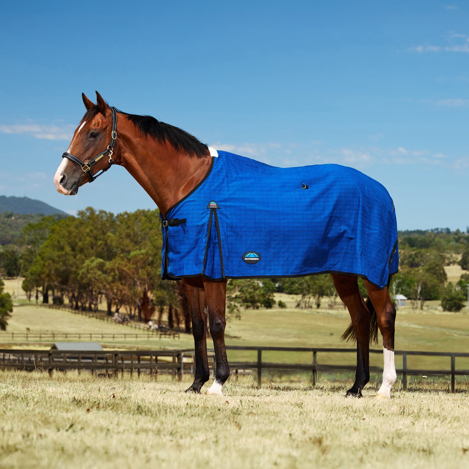 Weatherbeeta 20oz Canvas Standard Neck