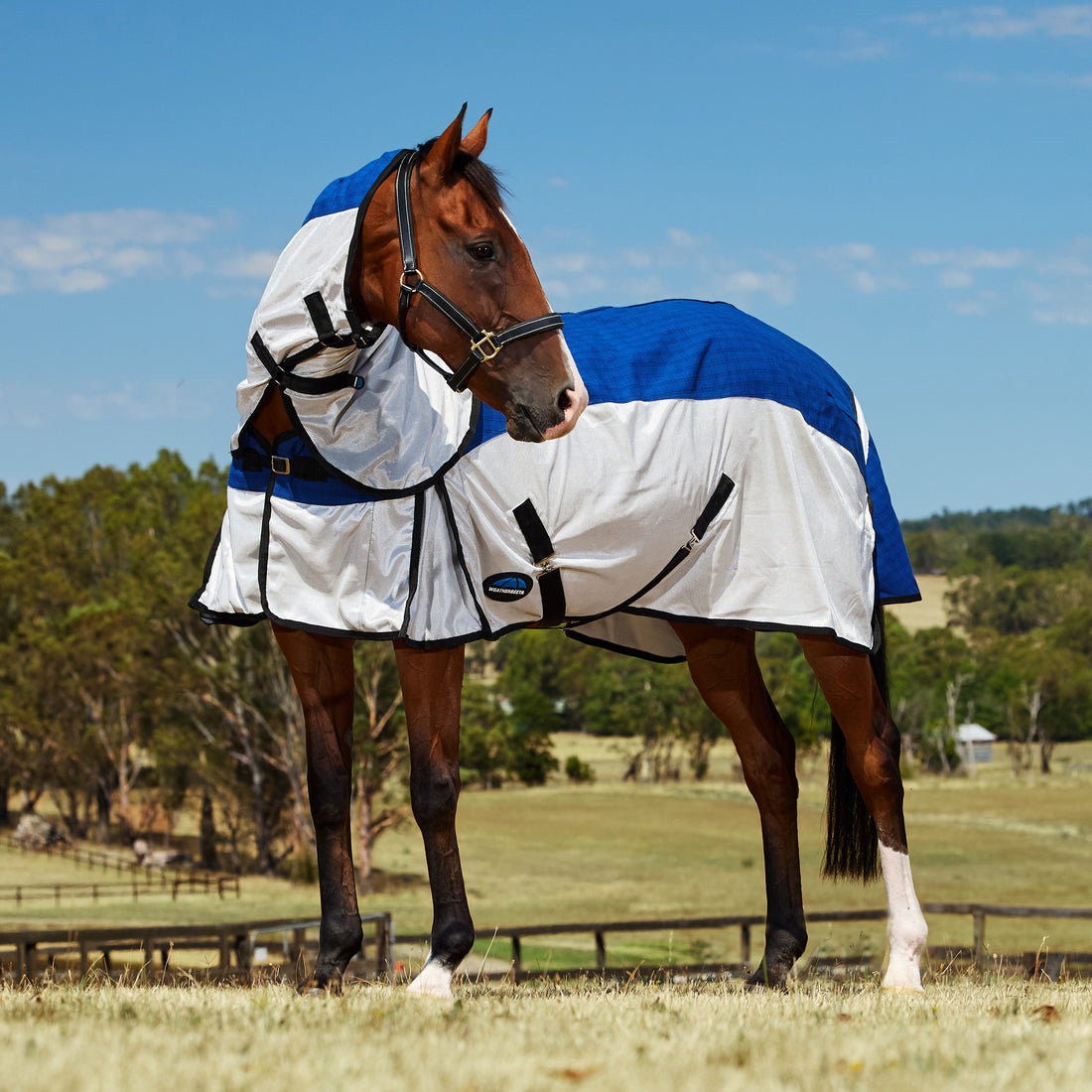 Weatherbeeta Unlined Half Mesh/Half Canvas Combo