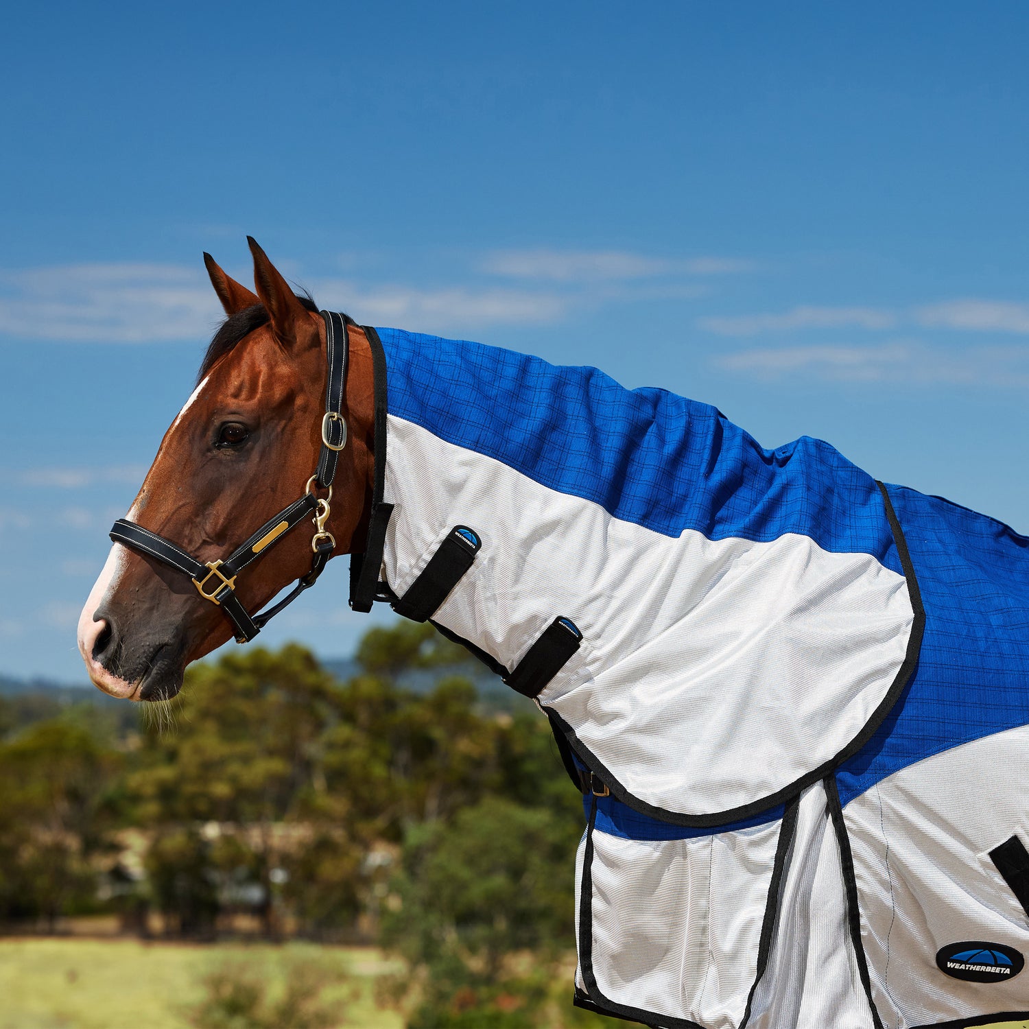 Weatherbeeta Unlined Half Mesh/Half Canvas Combo