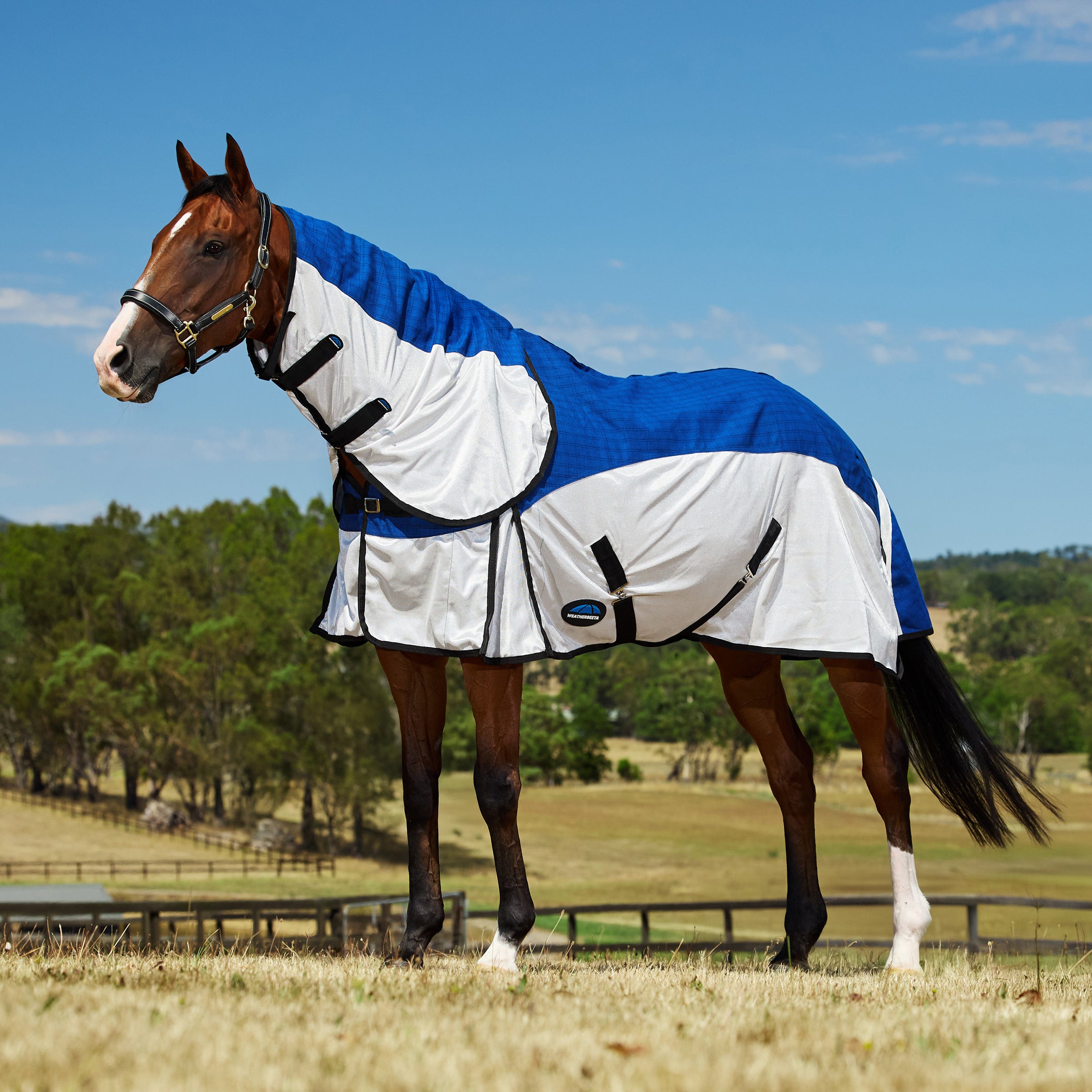 Weatherbeeta Unlined Half Mesh/Half Canvas Combo