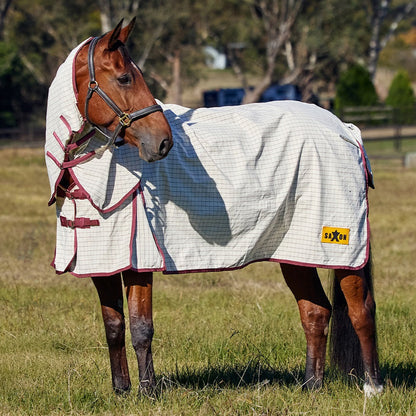 Saxon Kool Coat Cotton Sheet Combo