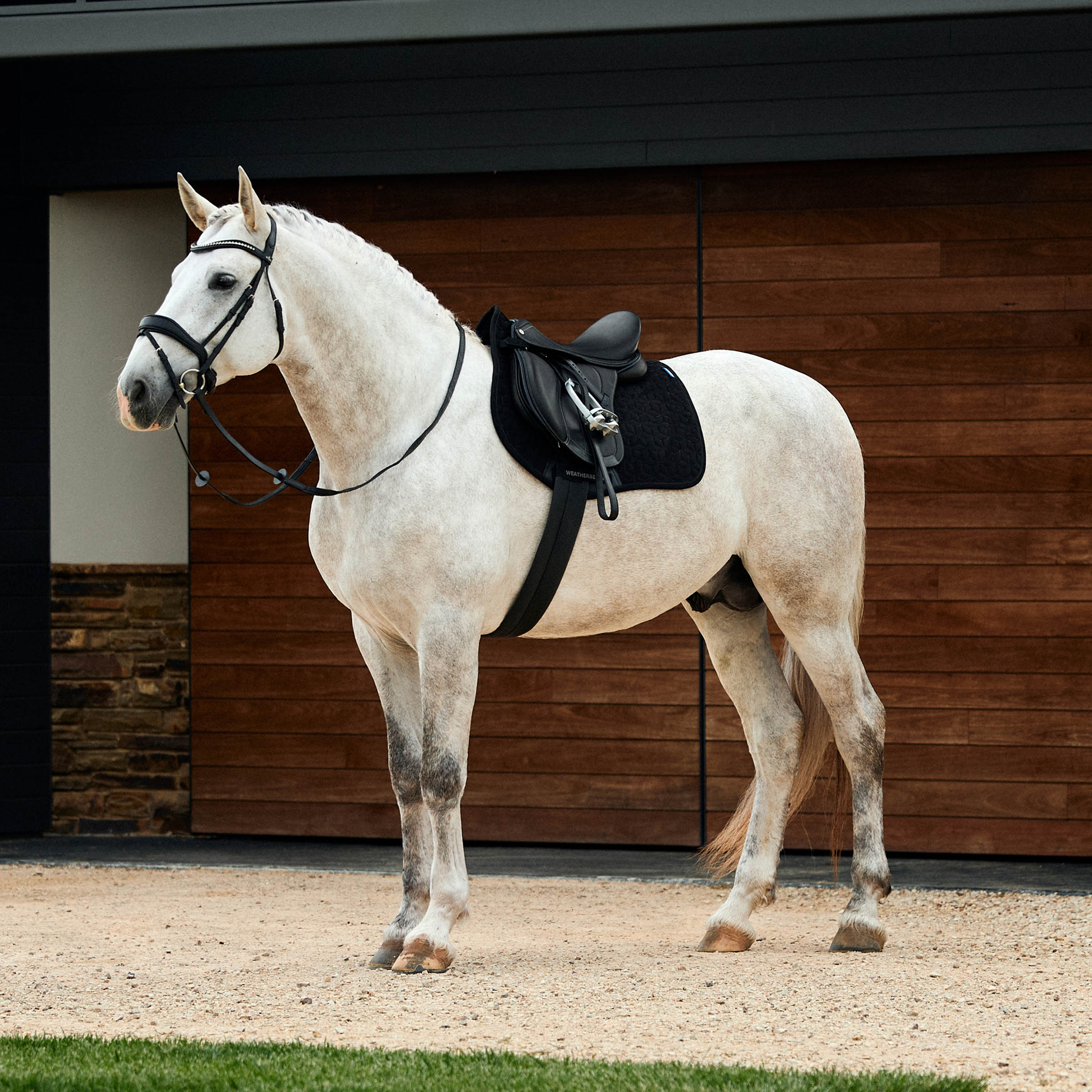 Weatherbeeta Suede Elite Air-Tec All Purpose Saddle Pad