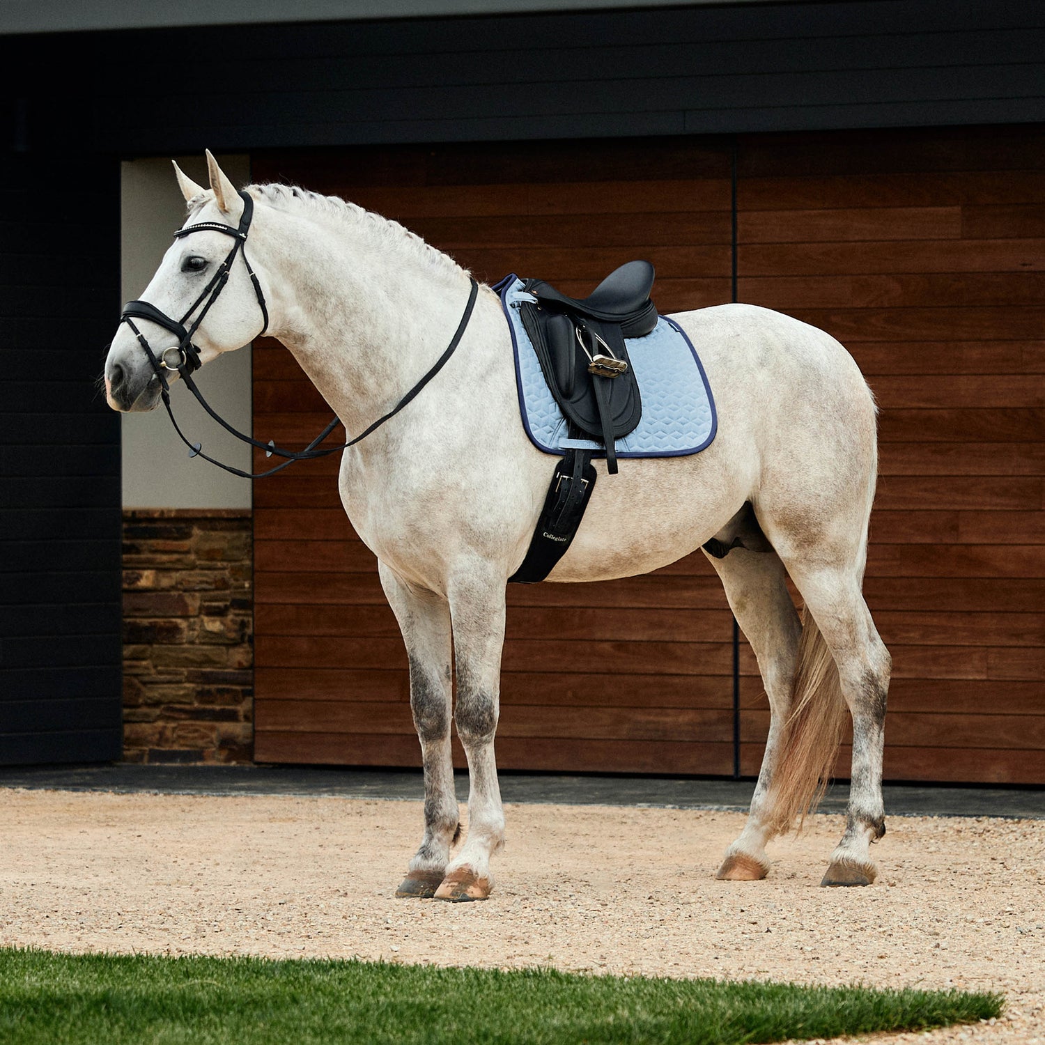 Weatherbeeta Suede Elite Air-Tec Dressage Saddle Pad