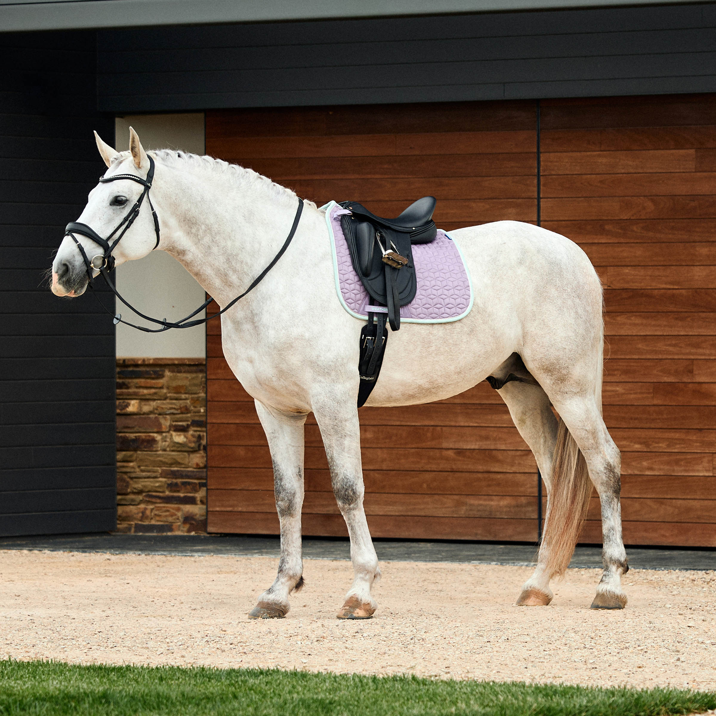 Weatherbeeta Suede Elite Air-Tec Dressage Saddle Pad
