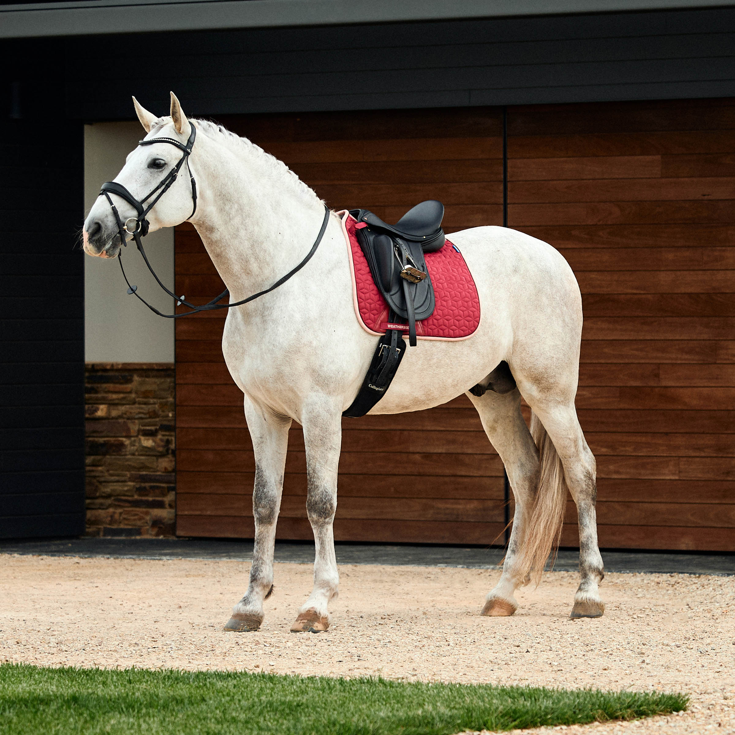 Weatherbeeta Suede Elite Air-Tec Dressage Saddle Pad