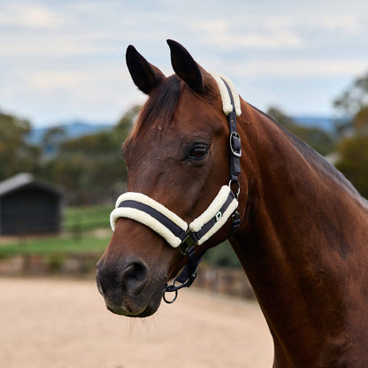 Dublin Soft Fit Headcollar - Navy