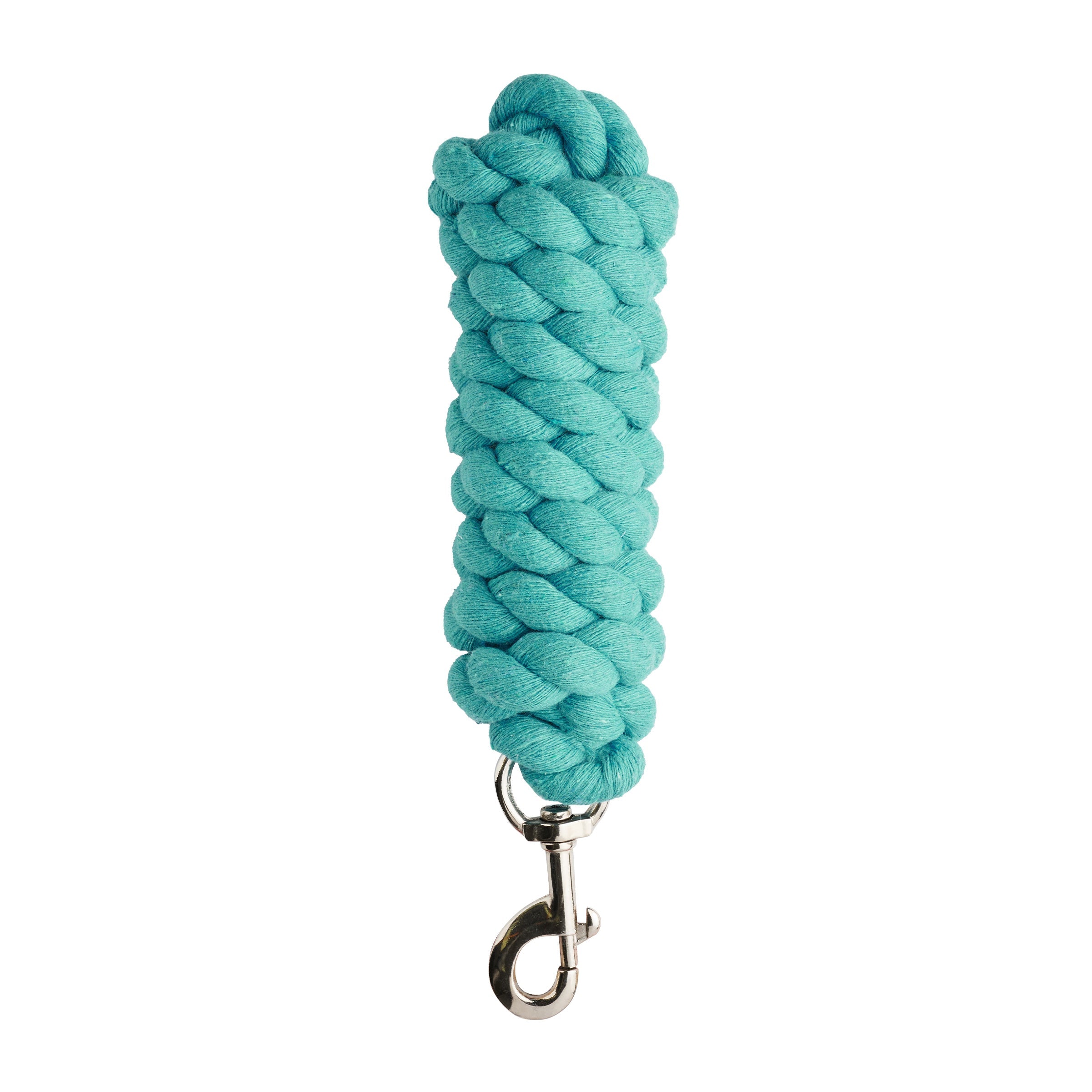 Dublin Everyday Lead - Aqua