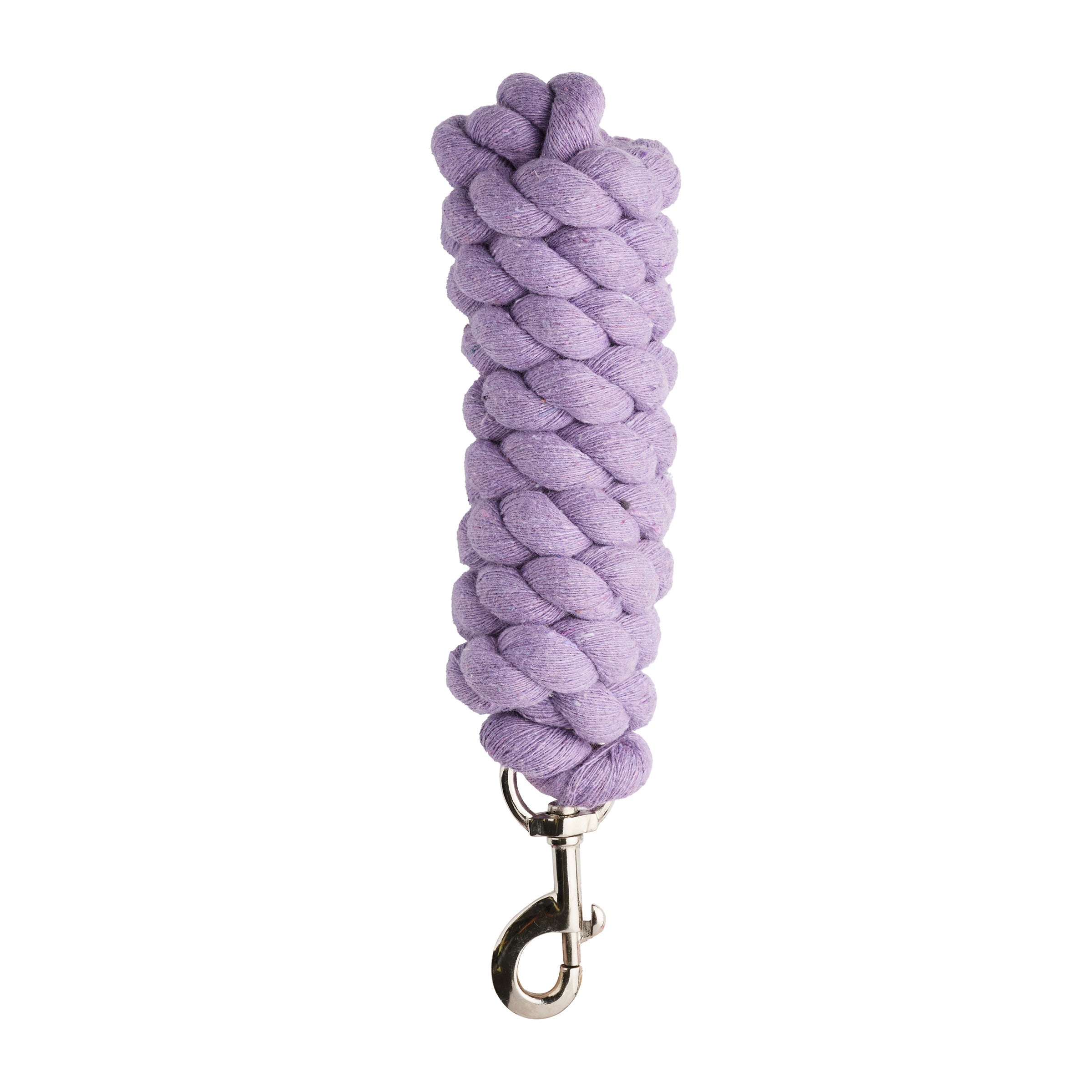Dublin Everyday Lead - Purple