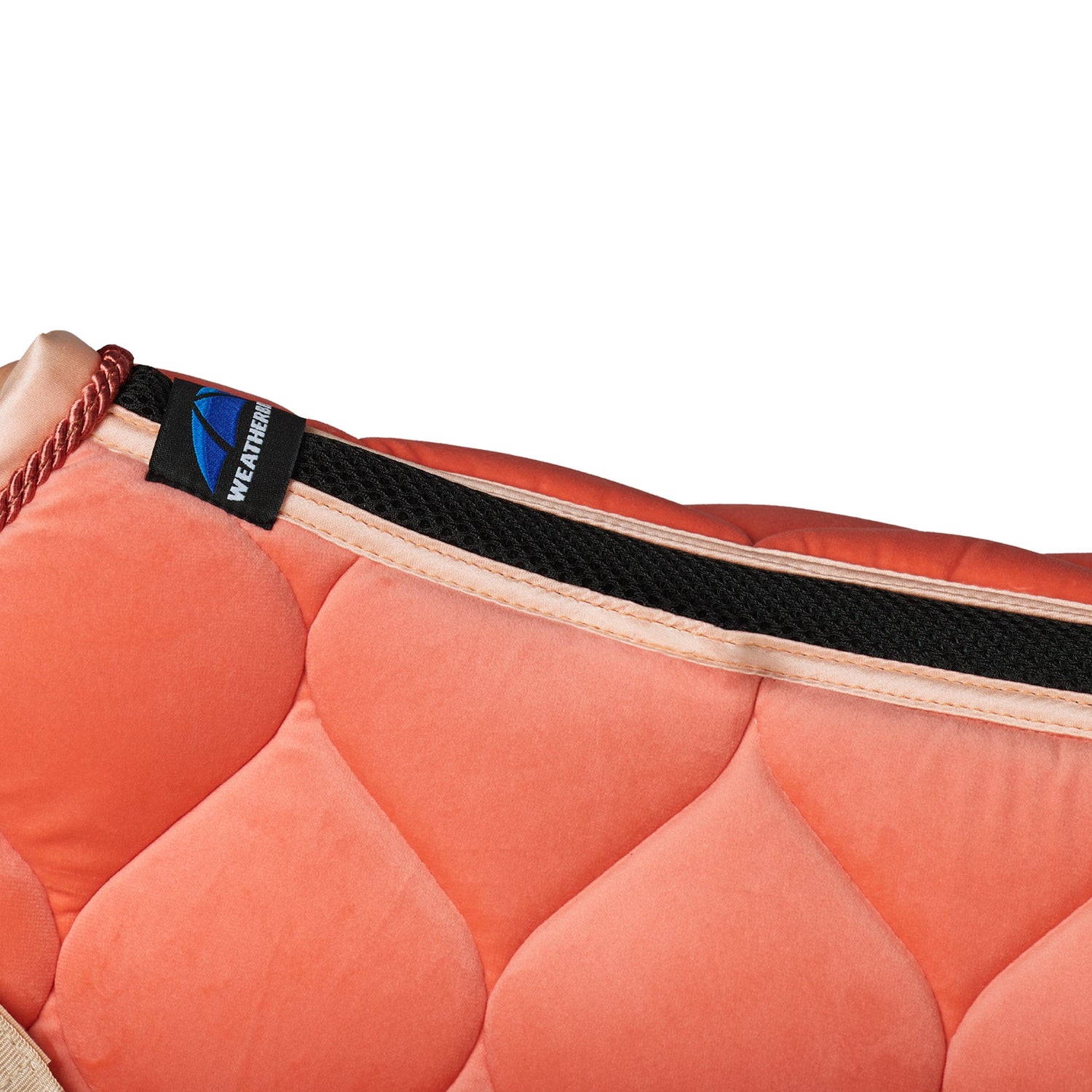 Coral - Air-Tec mesh spine detail 2
