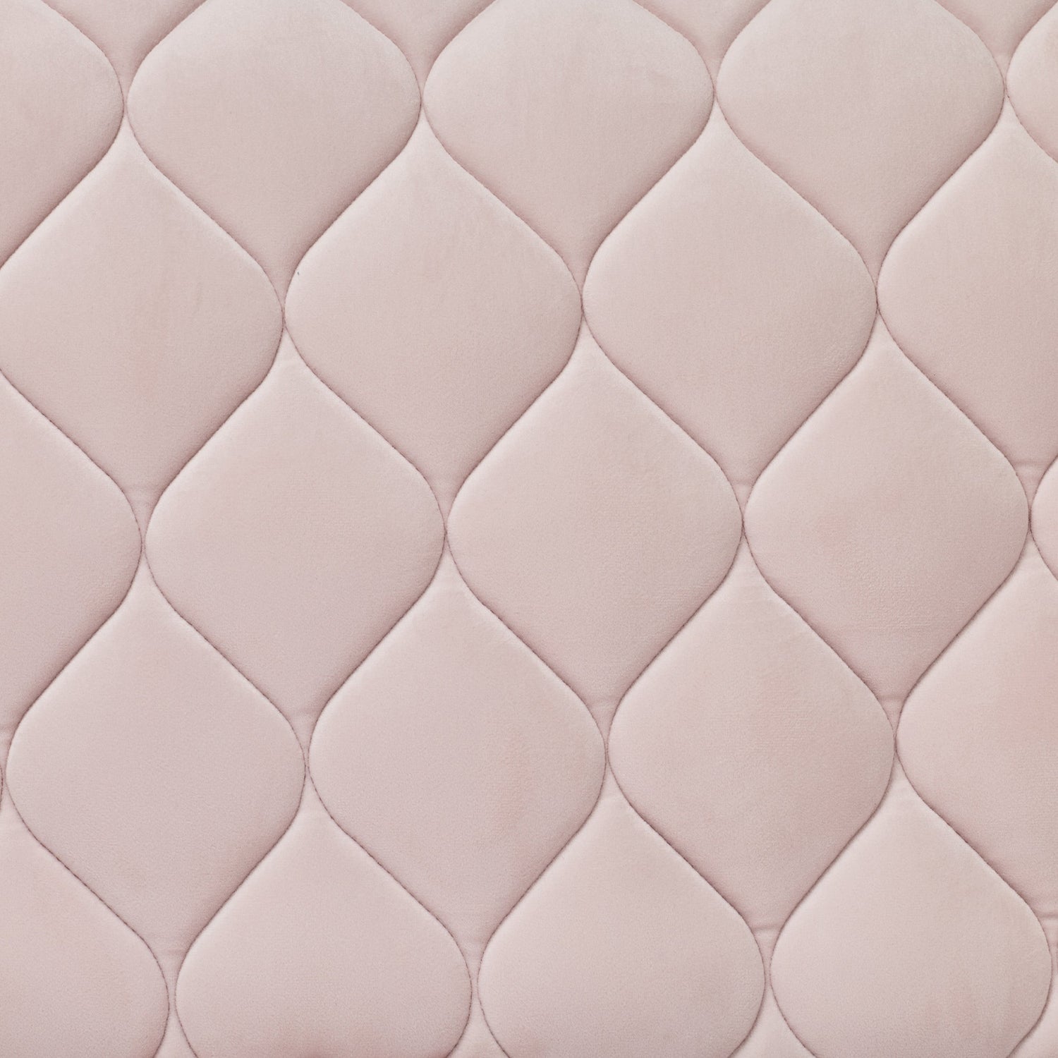 Pink - velvet fabric detail