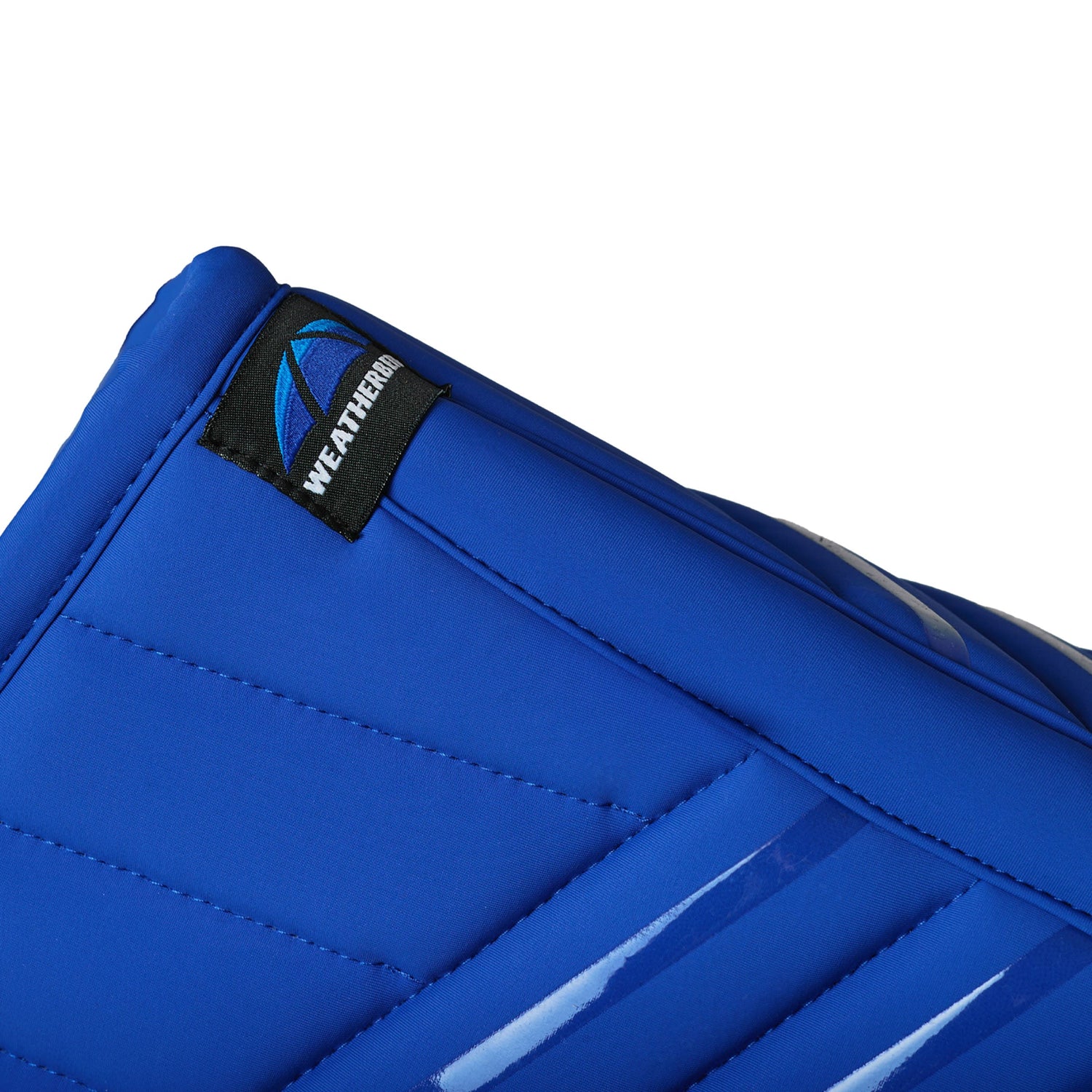 Cobalt - spine detail