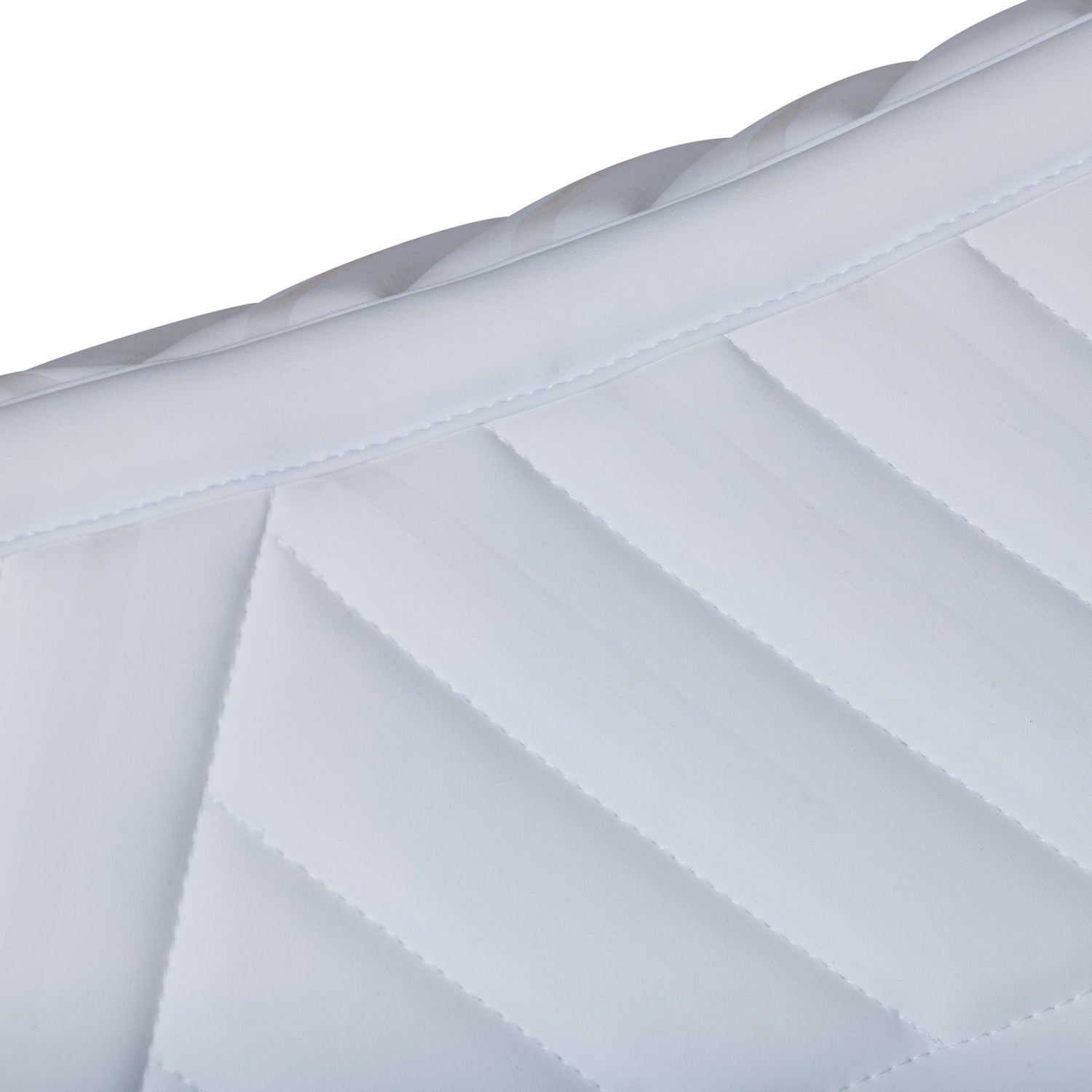 White - spine detail 2