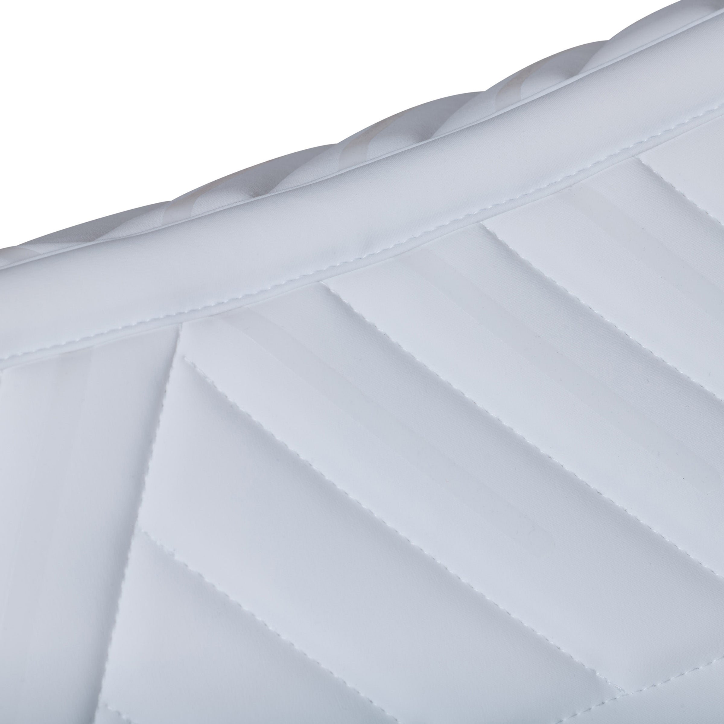 White - spine detail 2