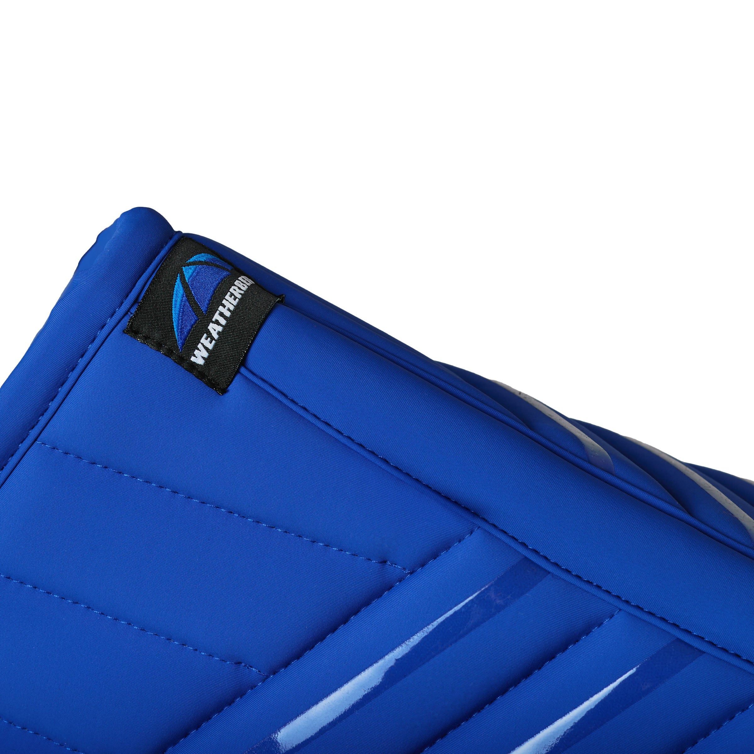 Cobalt - spine detail