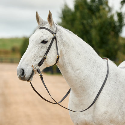 Dublin Brass Barcoo Bridle