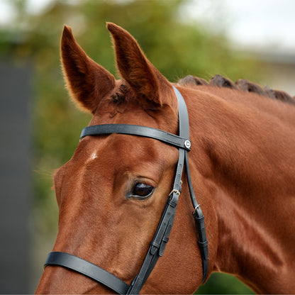 Dublin Flat Cavesson Bridle