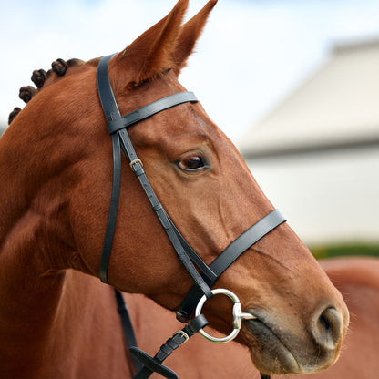 Dublin Flat Cavesson Bridle