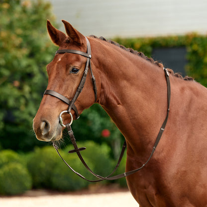 Dublin Flat Cavesson Bridle