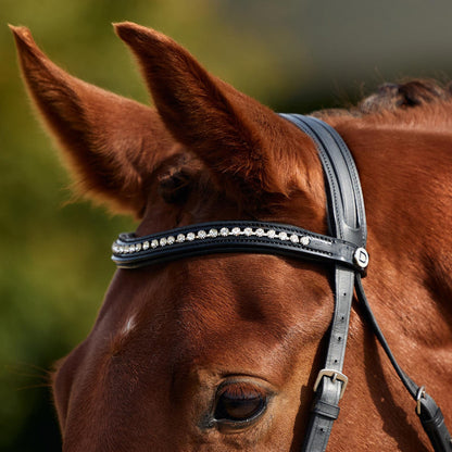 Dublin Padded Patent Flash Bridle