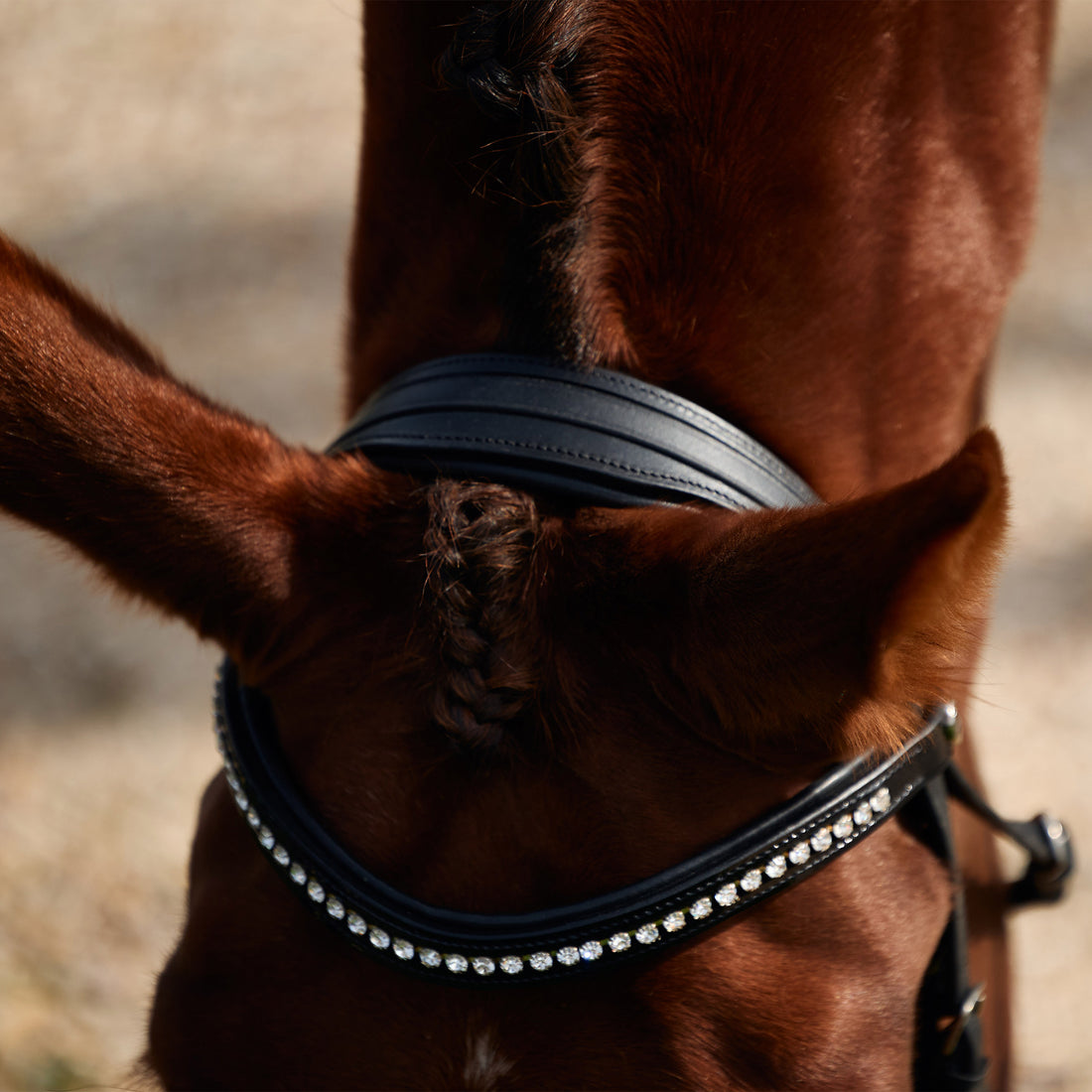 Dublin Padded Comfort Crown Patent Flash Bridle