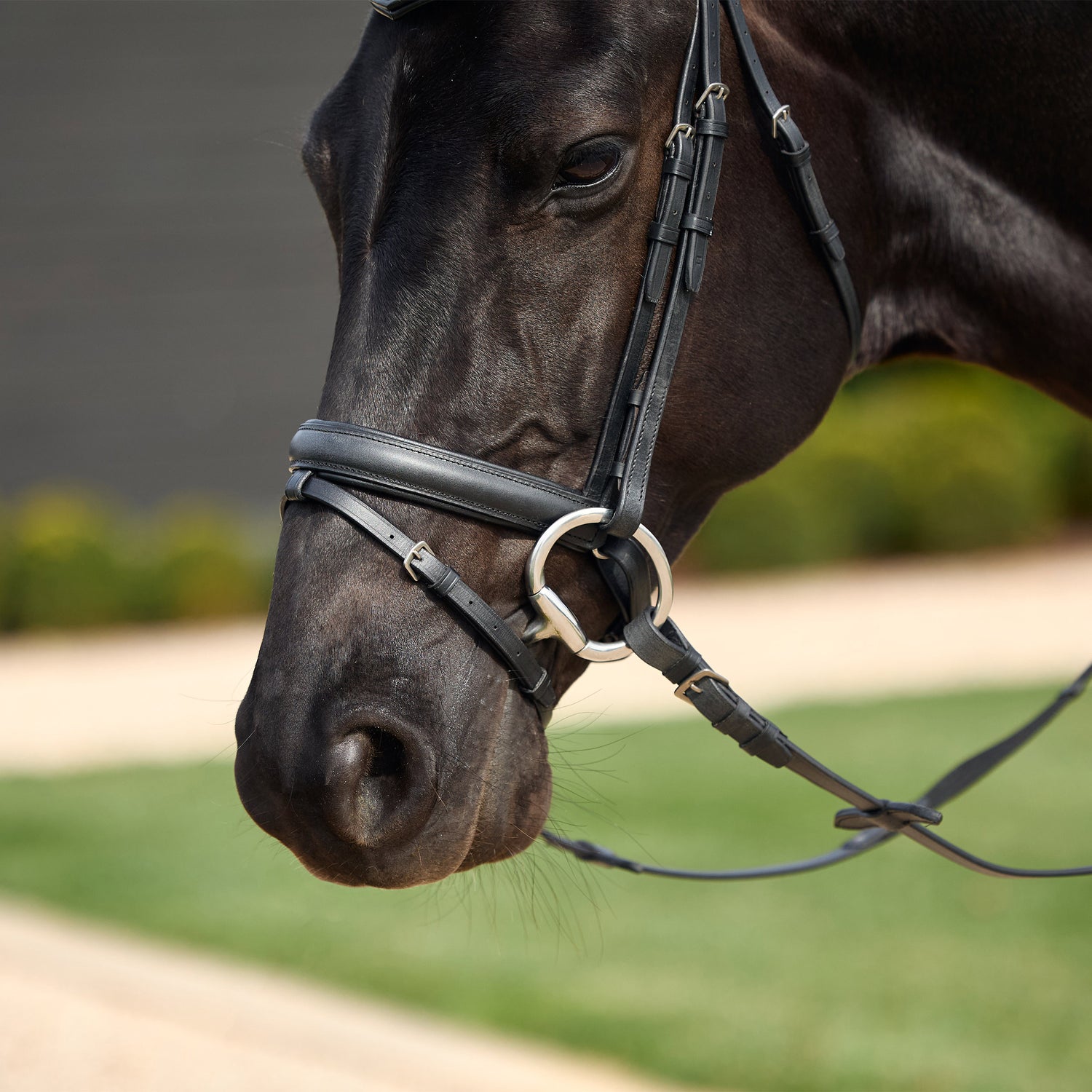 Dublin Crystal Flash Bridle
