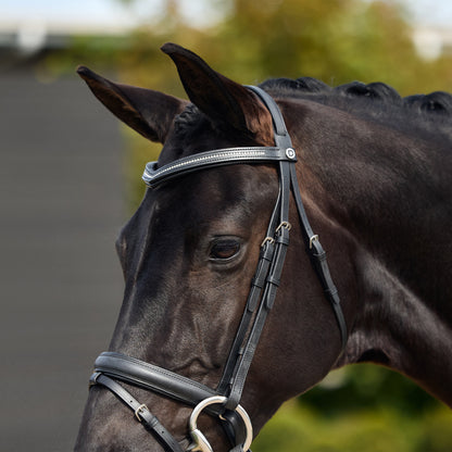 Dublin Crystal Flash Bridle