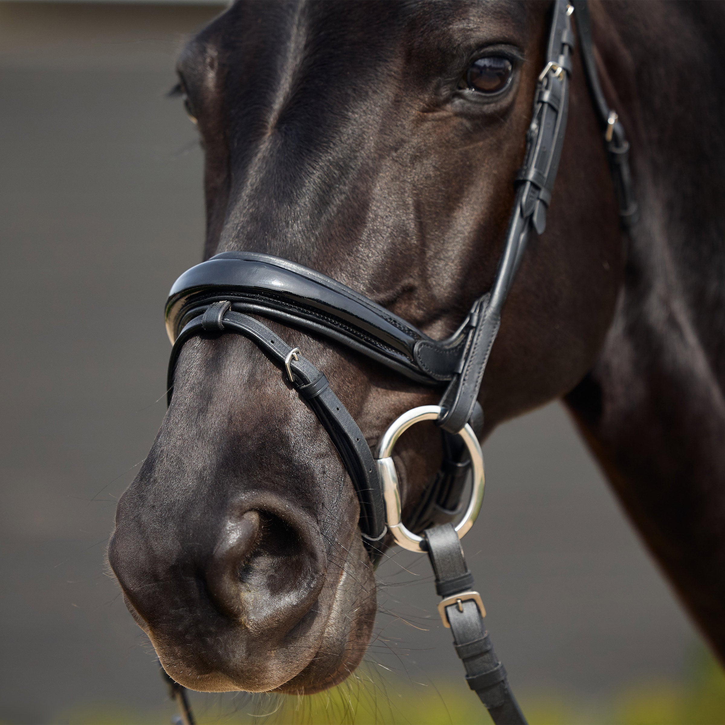 Dublin Patent Bridle