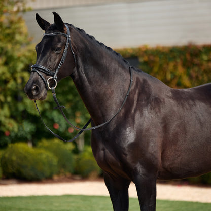 Dublin Patent Bridle