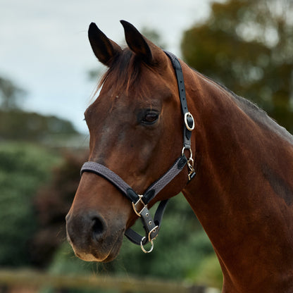 Dublin Braided Leather Headcollar - Charcoal