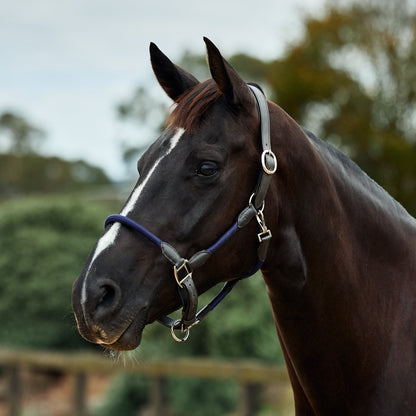 Dublin Leather Rope Headcollar - Navy/Brown
