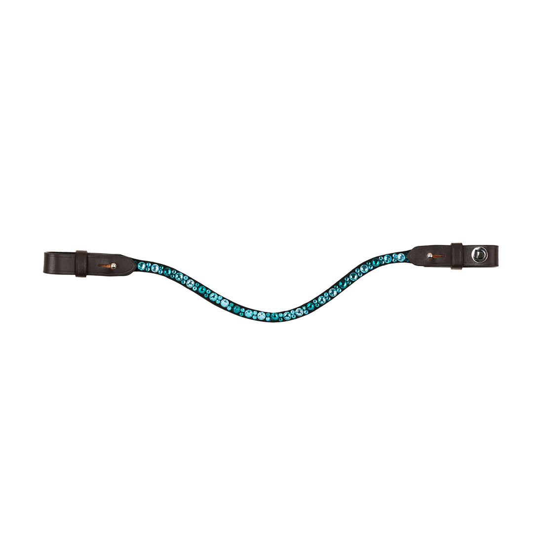 Aqua/Brown