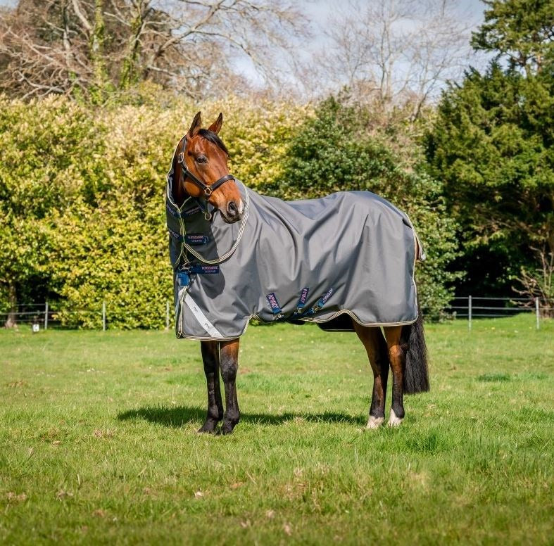 Amigo Bravo 12 Pony Plus Turnout Lite Detach-A-Neck
