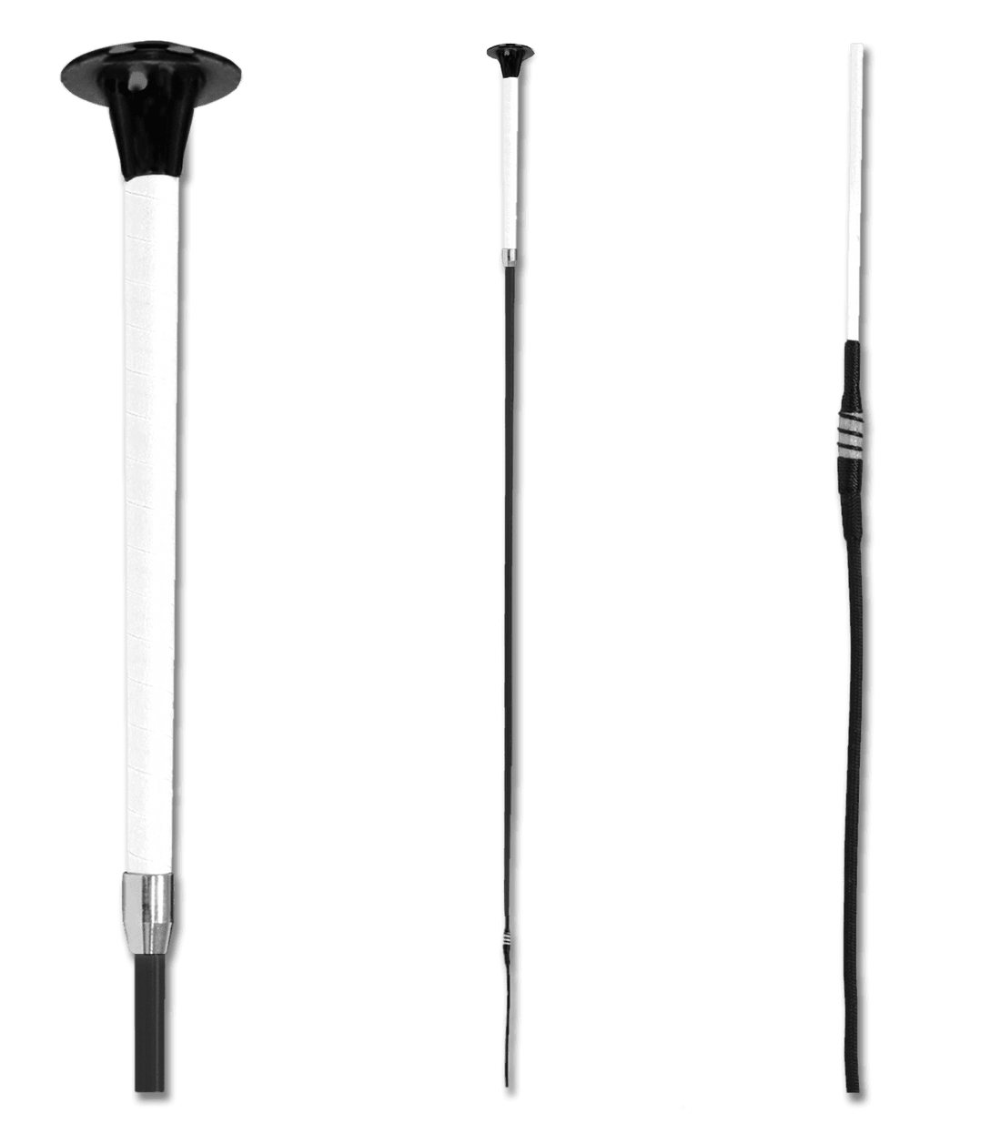 Waldhausen Whip Schultheis Dressage
