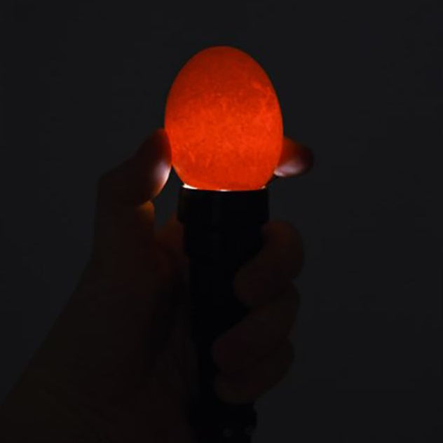 Kerbl Egg Candling Lamp in use